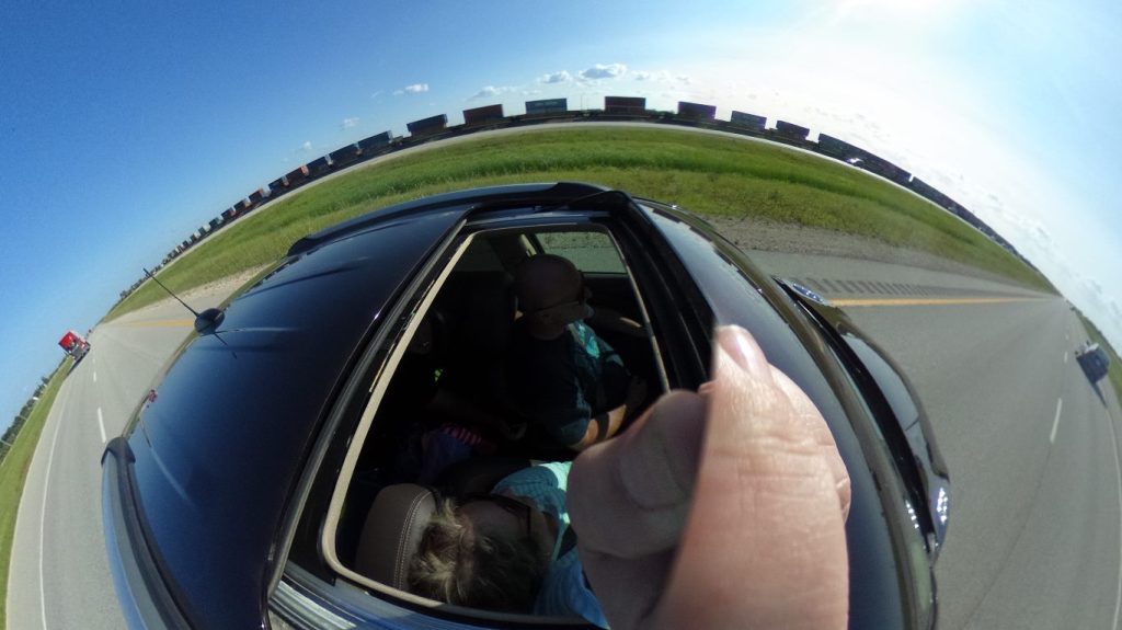 West and back: Animal spotting in&nbsp;Montana